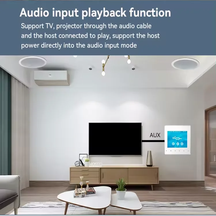 Amplificateur mural Bluetooth  - Audio Music For Background avis et prix