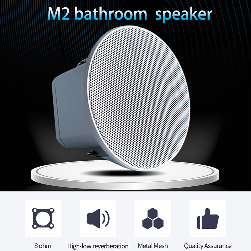 Mini haut-parleur de plafond 2 - Audio Music For Background avis et prix